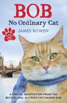 Bob: No Ordinary Cat by James Bowen: New