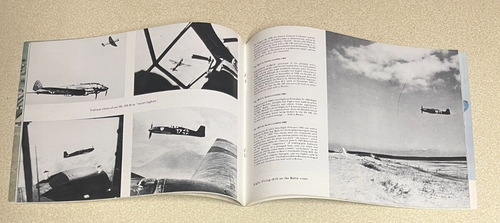 Heinkel He 100 World Record and Propaganda Aircraft - Picture 2 of 2