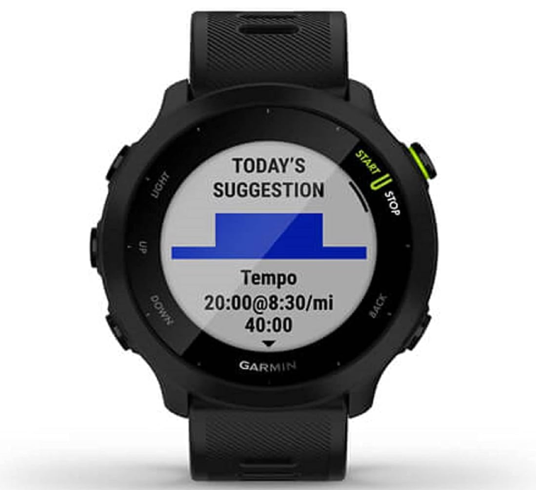 Hot Garmin Forerunner 55 GPS running watch, daily workouts, 2week