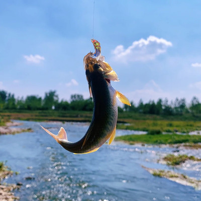 High Carbon Steel Fly Fishing Flies for Bass For Trout Grayling