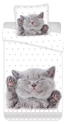 Kätzchen Wende-Bettwäsche-Set 135x200 80x80 Bettzeug Katze Kater Kitten Welpe - Bild 1 von 8