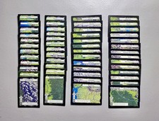  52 Cards 1995 Middle Earth The Wizard ccg LIMITED Complete REGIONS Cards Set