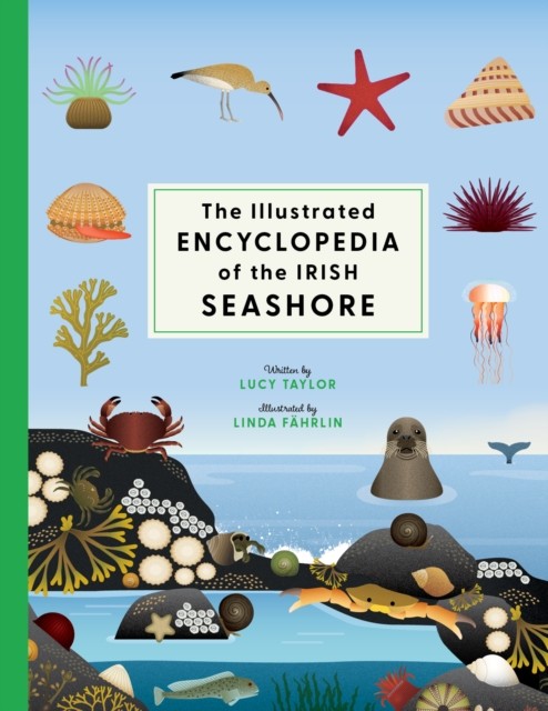 Illustrated Encyclopedia Of The Irish Se