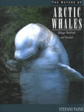 The Nature of Arctic Whales : Belugas, Bowheads and Narwhals Stef