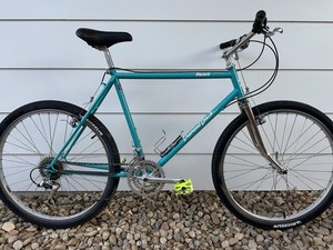 Diamond Back Ascent Bike | eBay