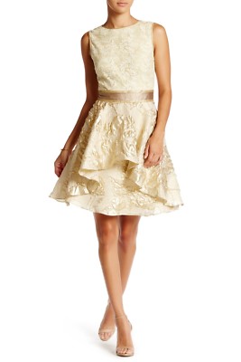 NWT $565 Nicole Miller V-Back Flare Dress in Champagne/Gold [SZ 10 ] #G36 |  eBay
