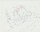 The Twelve Kingdoms Juuni Kokki Genga Douga Original Sketches Pierrot - Youko — photo 7