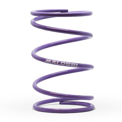 Sprung Kontrast Variator Viola Gilera Ice 50 2T MALOSSI