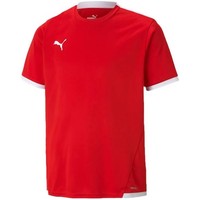 Koszulka Puma Teamliga Jersey Jr 704925 01 - 128Cm Puma