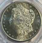 1880-S Morgan Dollar PCGS MS64 – Strong Luster, Bright Eye Appeal, Nice Example