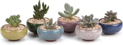 2.5 Inch Small Ceramic Succulent Planter Pot with Drainage Hole Set of 6, Ice...
