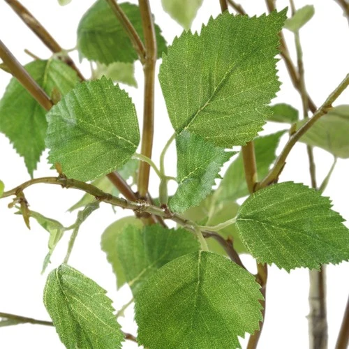 Uttermost 60254 Nigra 20"W Birch Branches Artificial Plant in a - Birch / Clear - Picture 3 of 5