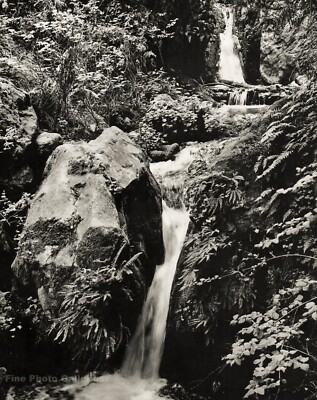 1960s Vintage Falls Anderson Creek Canyon Landscape PHILIP HYDE Photo Art 12X16