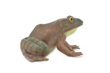 Frog, American Bullfrog, Rubber Realistic Toy Figure, Gift, 5" CH560 BB161