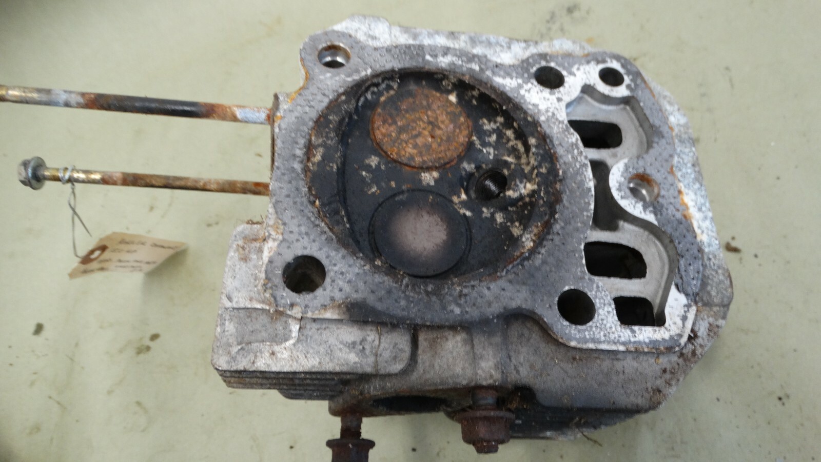 Kohler Command OHV 15hp OEM Cylinder Head valves springs valve spring