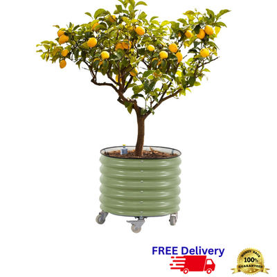 Self Watering Rolling Planter with Wheels Large Citrus Tree Pot Outdoor New  | eBay