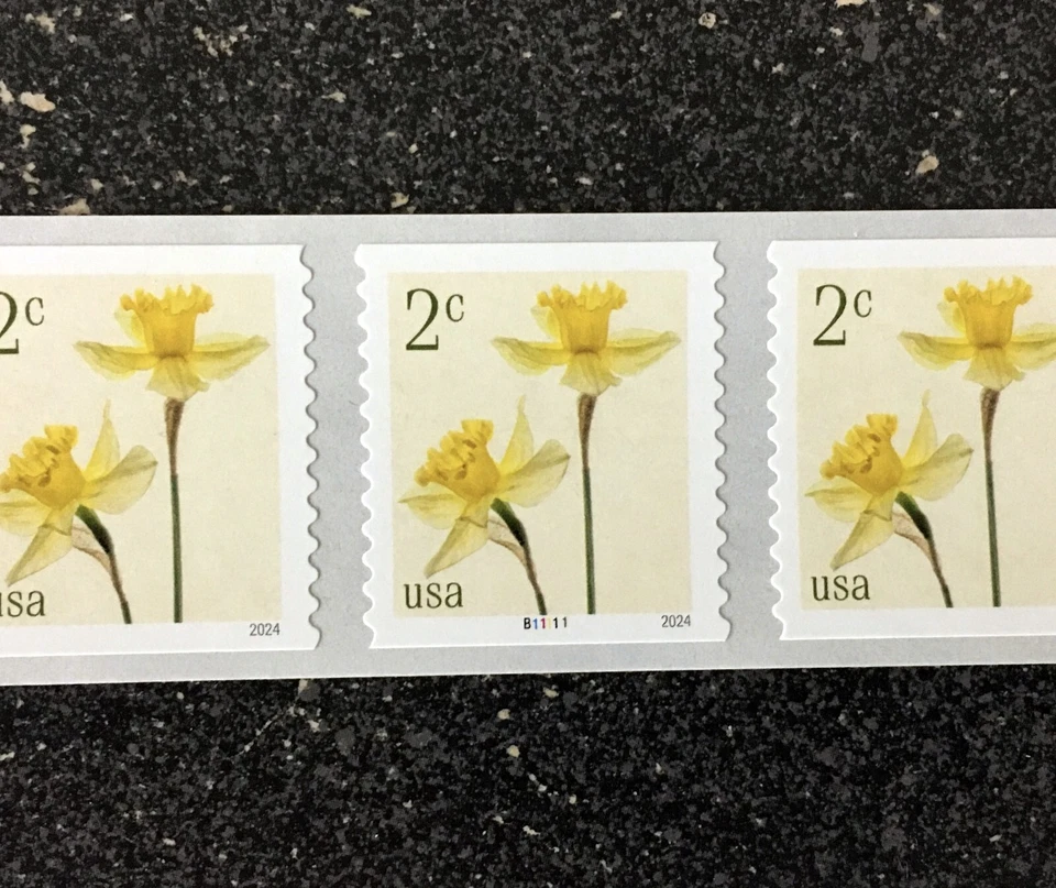 2024USA #5903 2c Daffodils - Plate Number Coil Strip of 5 - PNC Mint flowers - Image 2 of 2