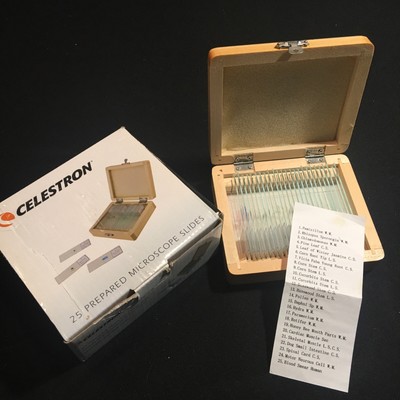 Celestron 25 Prepared Microscope Slide Kit with Storage Case - Celestron #44410