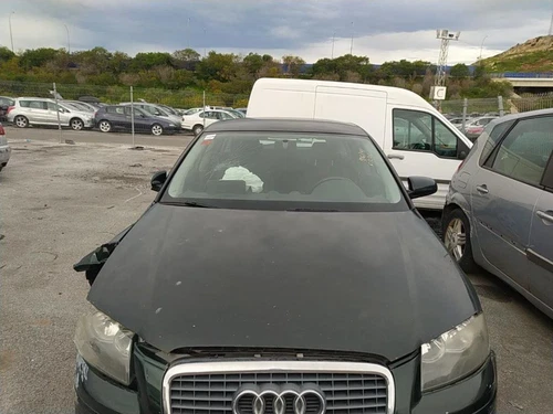 Guarnecido Puerta Delantera Izquierda para AUDI A3 SPORTBACK (8PA) 2006 1695315 - Imagen 2 de 7