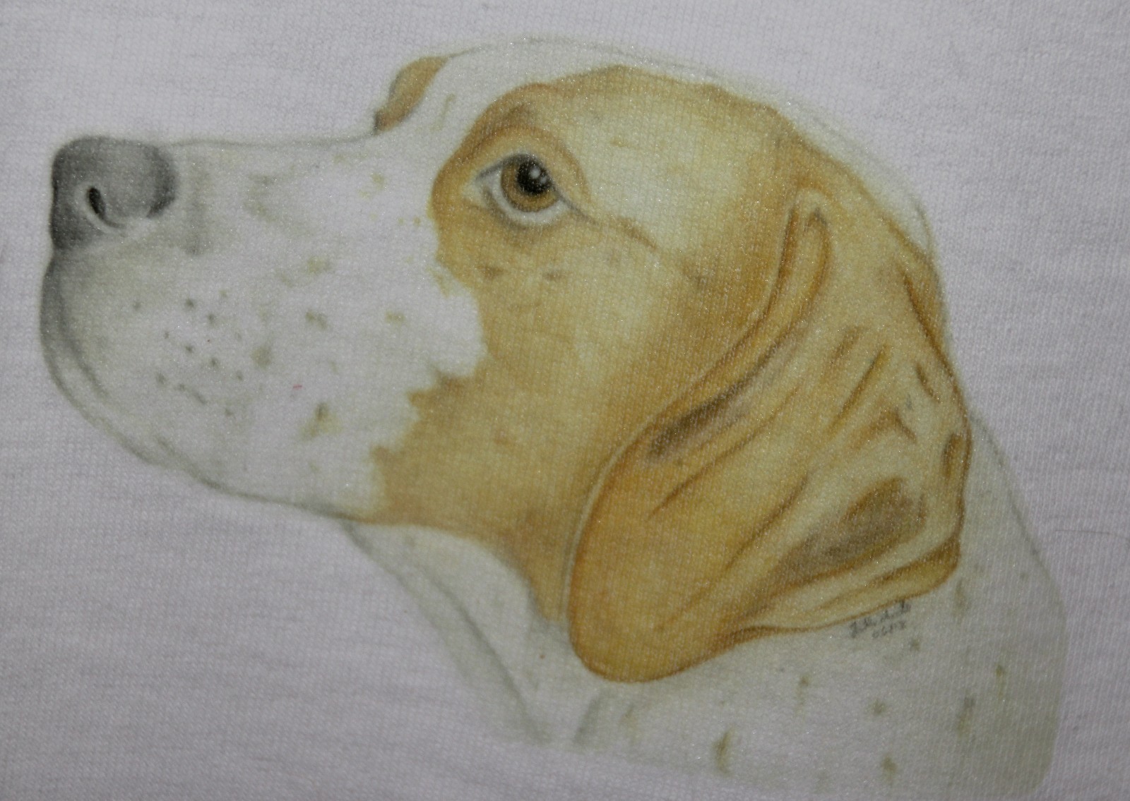 Picture 8 of 9