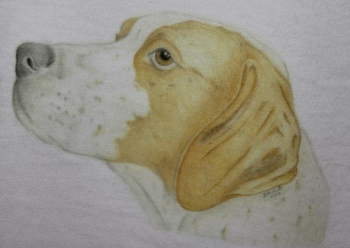 English and German Pointer GSP T-Shirts or Sweatshirts 3-6 mths-XXL FREE P&P - Picture 8 of 9