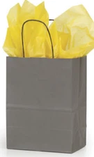 Paper Shopping Bags Grey Gray 100 Kraft Gift Medium 8 ¼” x 4 ¾" x 10 ½” Cub