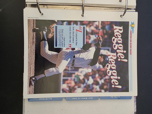 Vintage Sports Pages Album 75 Pages Newfield Pub. 1994 - Picture 15 of 24