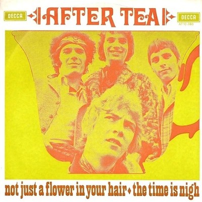 After Tea - Not Just A Flower In Your Hair / The Time Is Nigh (7'', Single, Mono)