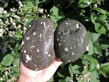 Par de nódulos de piedra de pórfido GALAXY de 2,6 lb con CRISTAL DE ZEOLITA e inclusión de ágata
