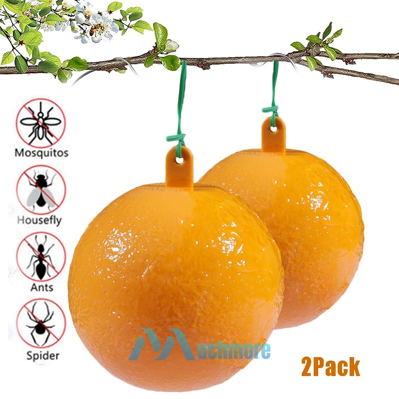 2Pcs Hanging Ball Fruit Fly Traps Sticky Mosquito Tape Insect Catcher Gnat Traps