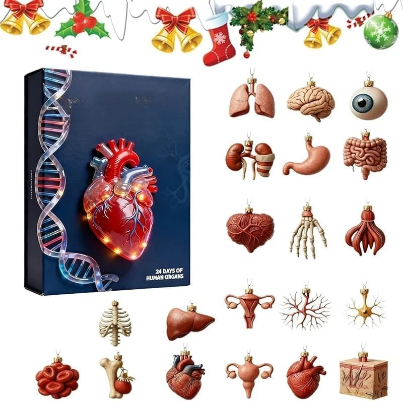 Calendario de Adviento Holiday Soda 24 Días Navidad Cuenta Regresiva Calendario Caja Ciega AU- Foto 3 de 4