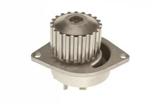 Pompe à eau Rover 25