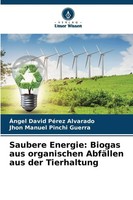 ÁNgel David PéRez Alvarado (U. A.) | Saubere Energie: Biogas Aus Organischen...