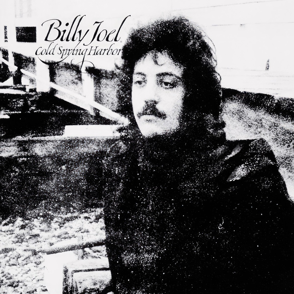 新品 希少 レア ゲイ BIG FUN WITH BILLY ビリー 本 写真集 Billy Joel Cold Spring Harbor 12x12 Album Cover Replica Poster
