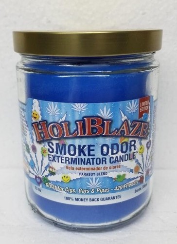 Smoke Odor 13 oz Jar Holidays & Christmas Candles Pumpkin & Spice +7 more - Picture 8 of 9