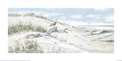 Richard Macneil - Treibholz - Fine Art Print - 2 Größen