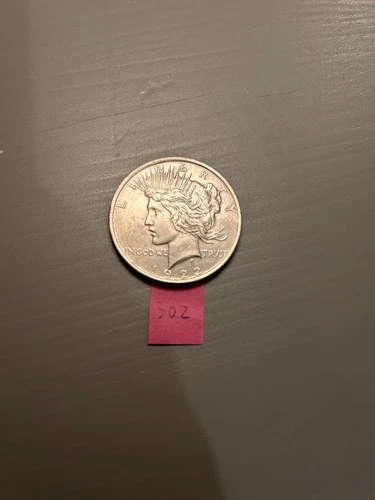 1922 Peace Dollar $1 Silver Coin 0.9 Fineness Circulated Uncertified US