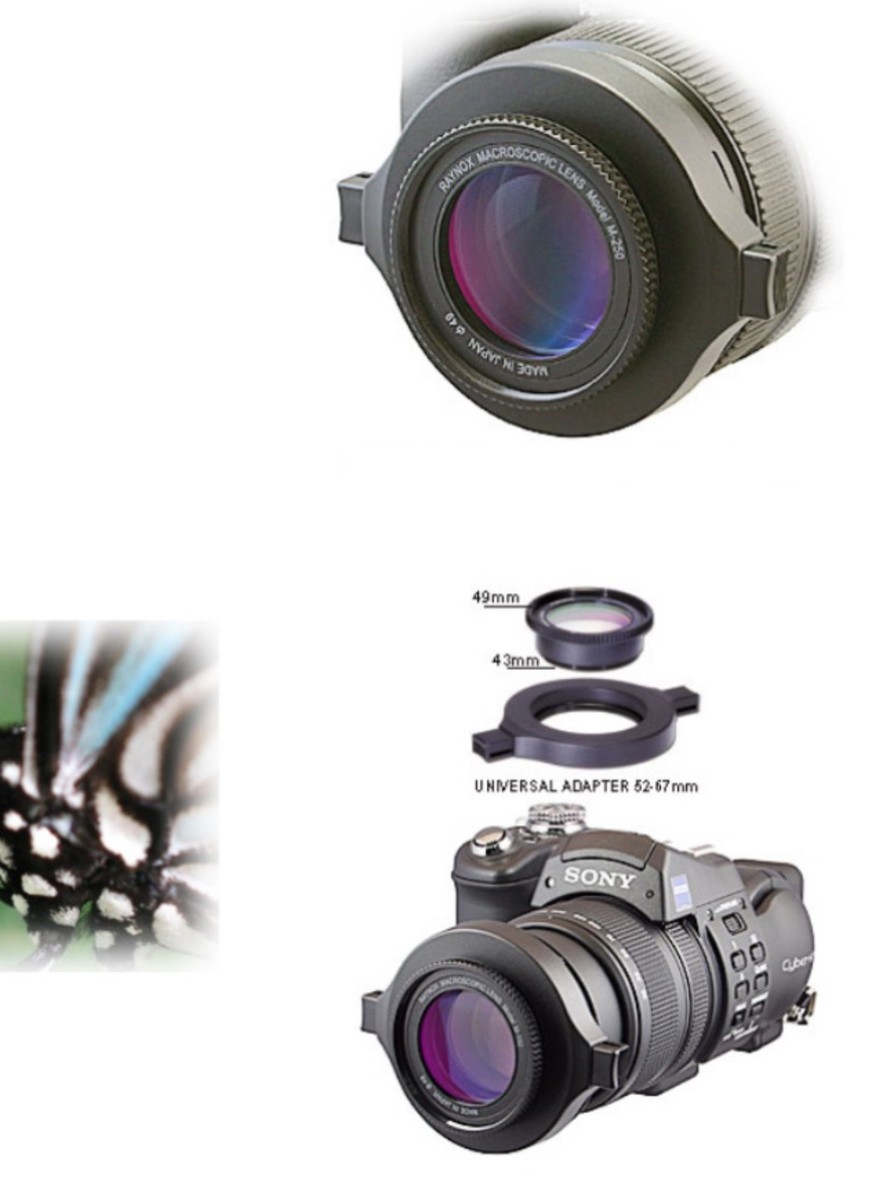 USED] Raynox DCR-250 43mm 2.5x Super Macro Lens  Excellent In Box P 23813 - Foto 3