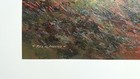 Foto 3 di 4