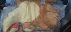 Bild 8 von 24