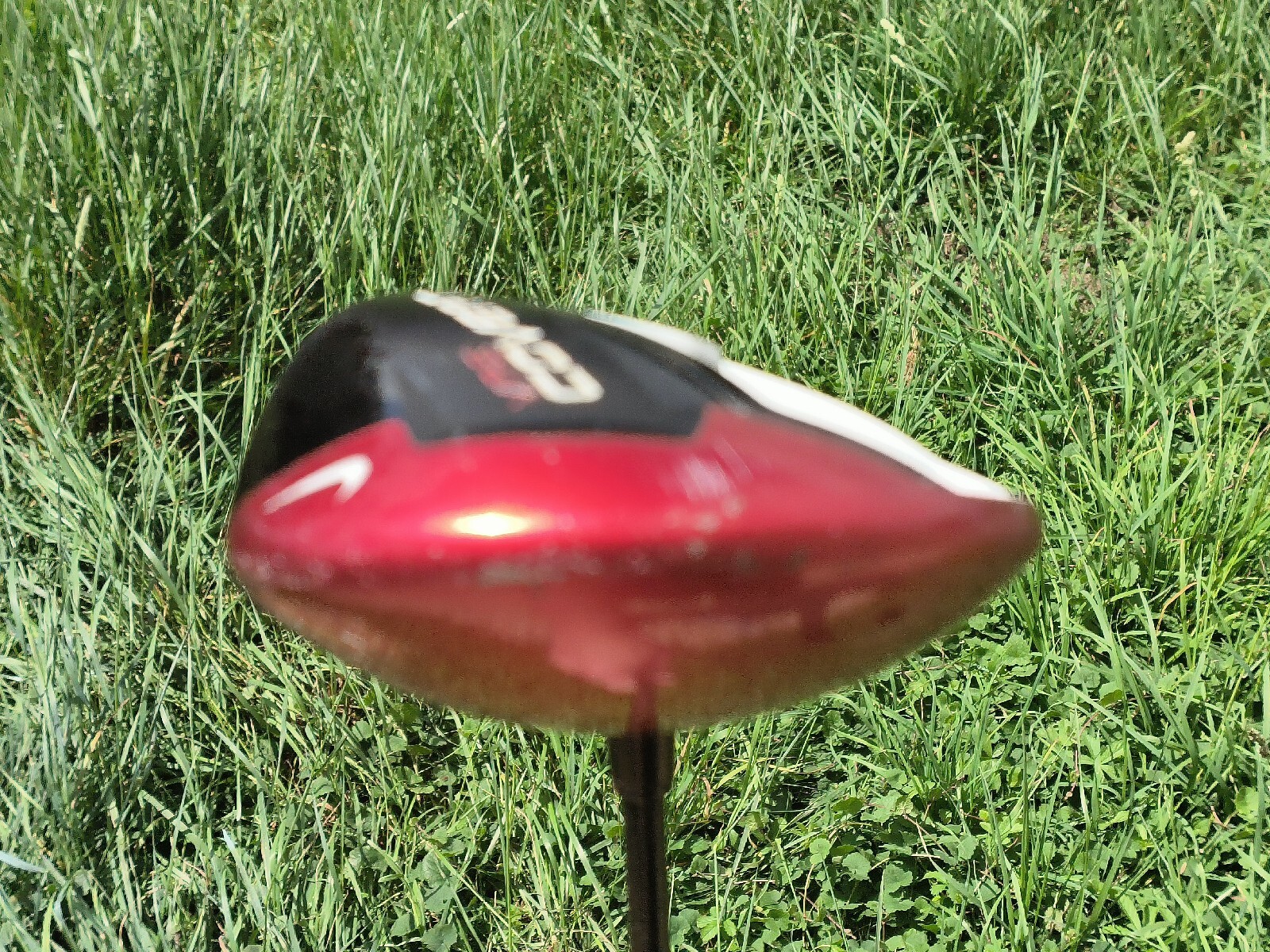 Picture 8 of 21