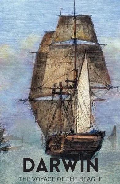 Voyage of The Beagle | Charles Darwin | Taschenbuch | Kartoniert / Broschiert-image