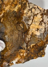 NEW FIND Snake Valley Picture Stone Slab Stunning and Unique