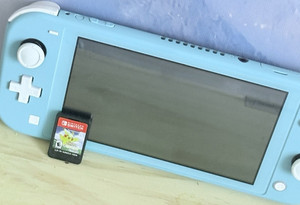 Blue Switch Lite | eBay
