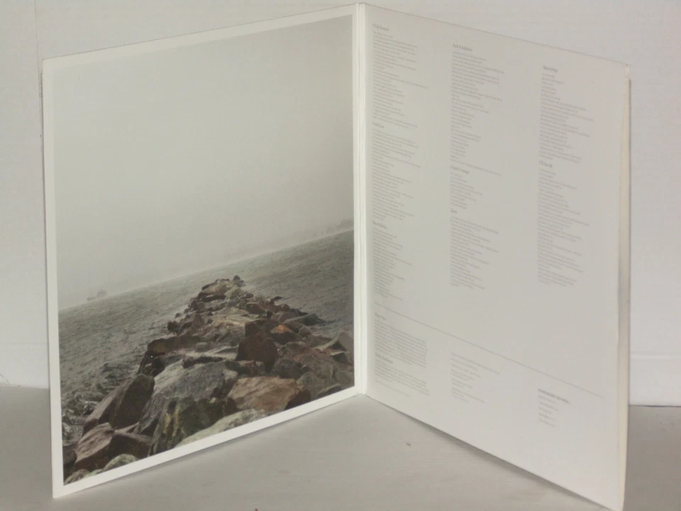 PIANOS BECOME THE TEETH  Lack Long After Grey Marble Vinyl LP VG+ 2011 Topshelf Foto 4 de 4