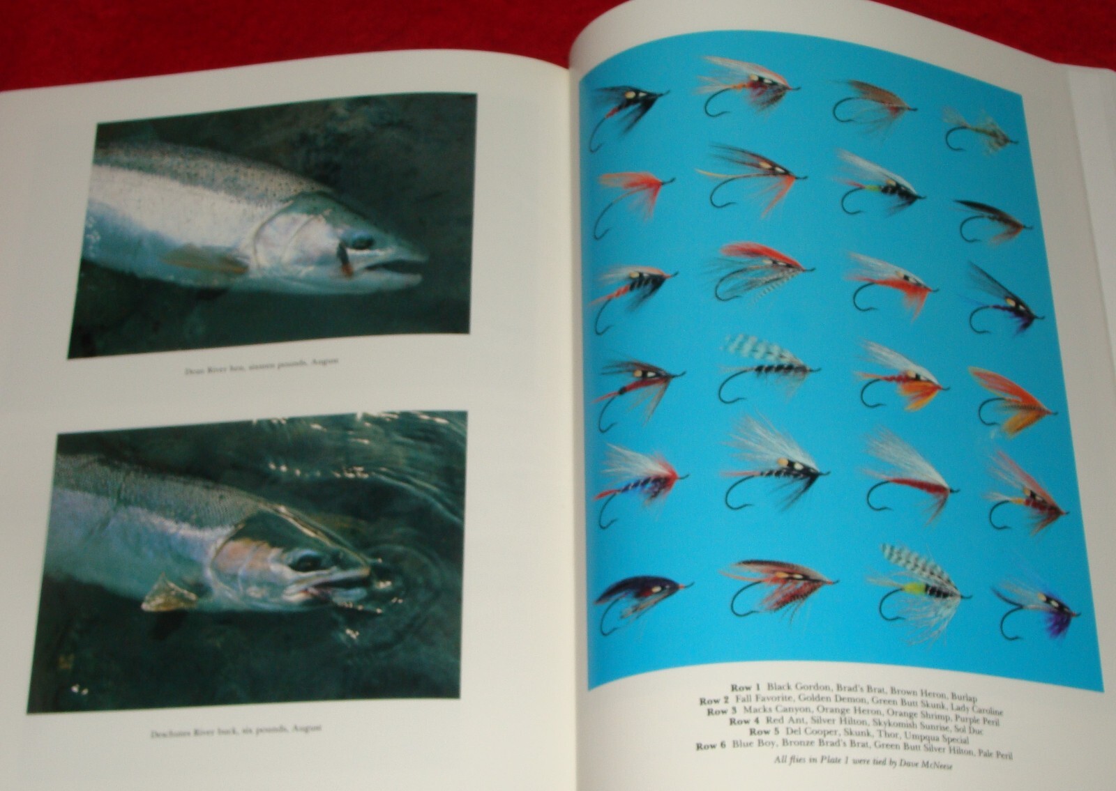 1991 Salesman Sample Book Steelhead Fly Fishing by Trey Combs w/ Slip