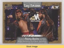 2022 AEW All Elite Wrestling Tag Teams Gold Matt Jackson Nick Patch READ 0iz2