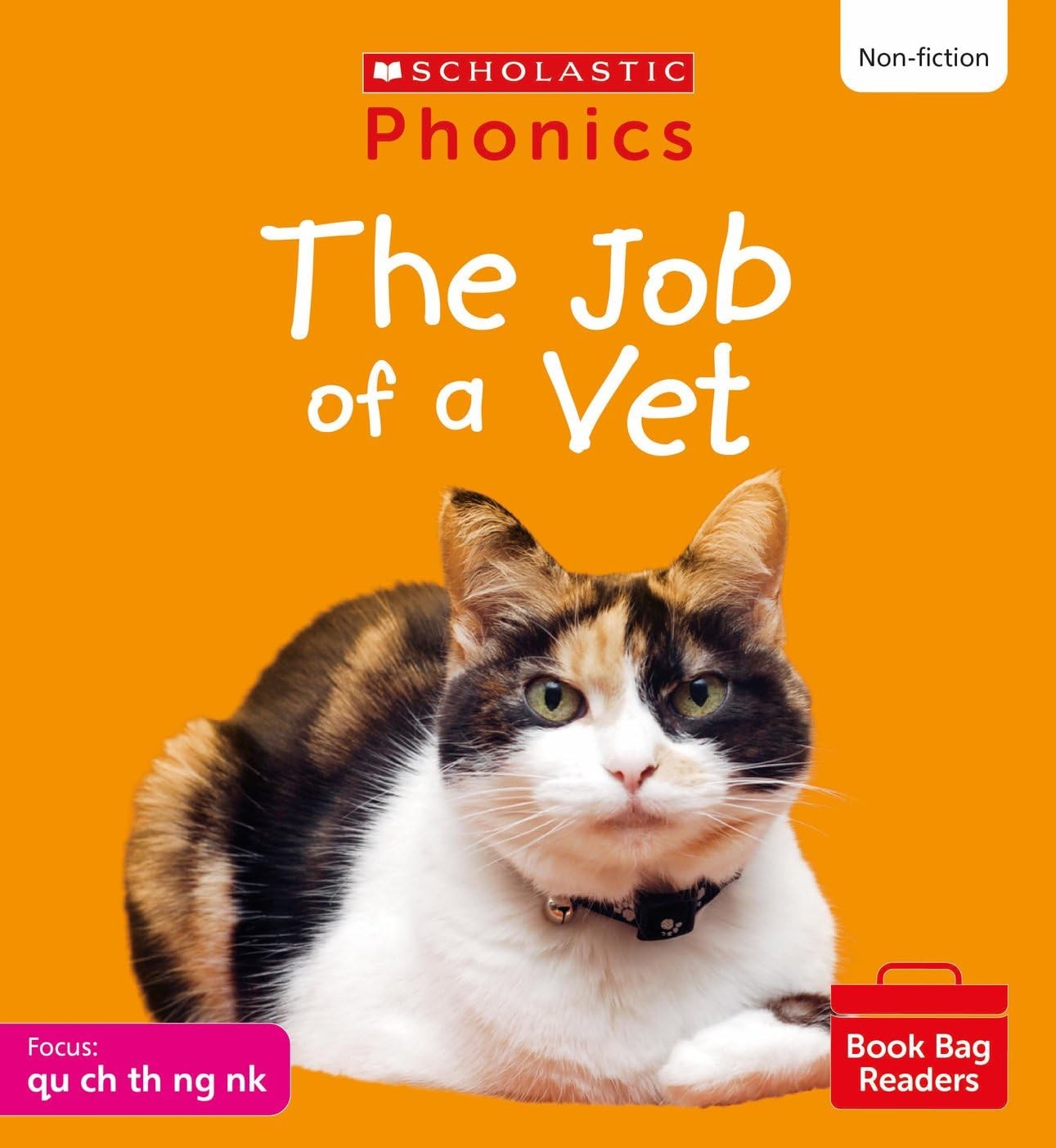The Job of a Vet (Set 4) Matched to Little Wandle Letters and Sounds Revised - Image 7