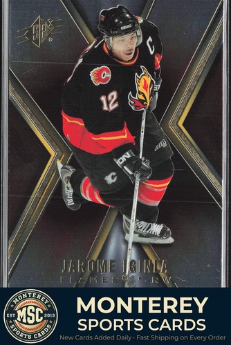 2005 SPx Jerome Iginla #12 card