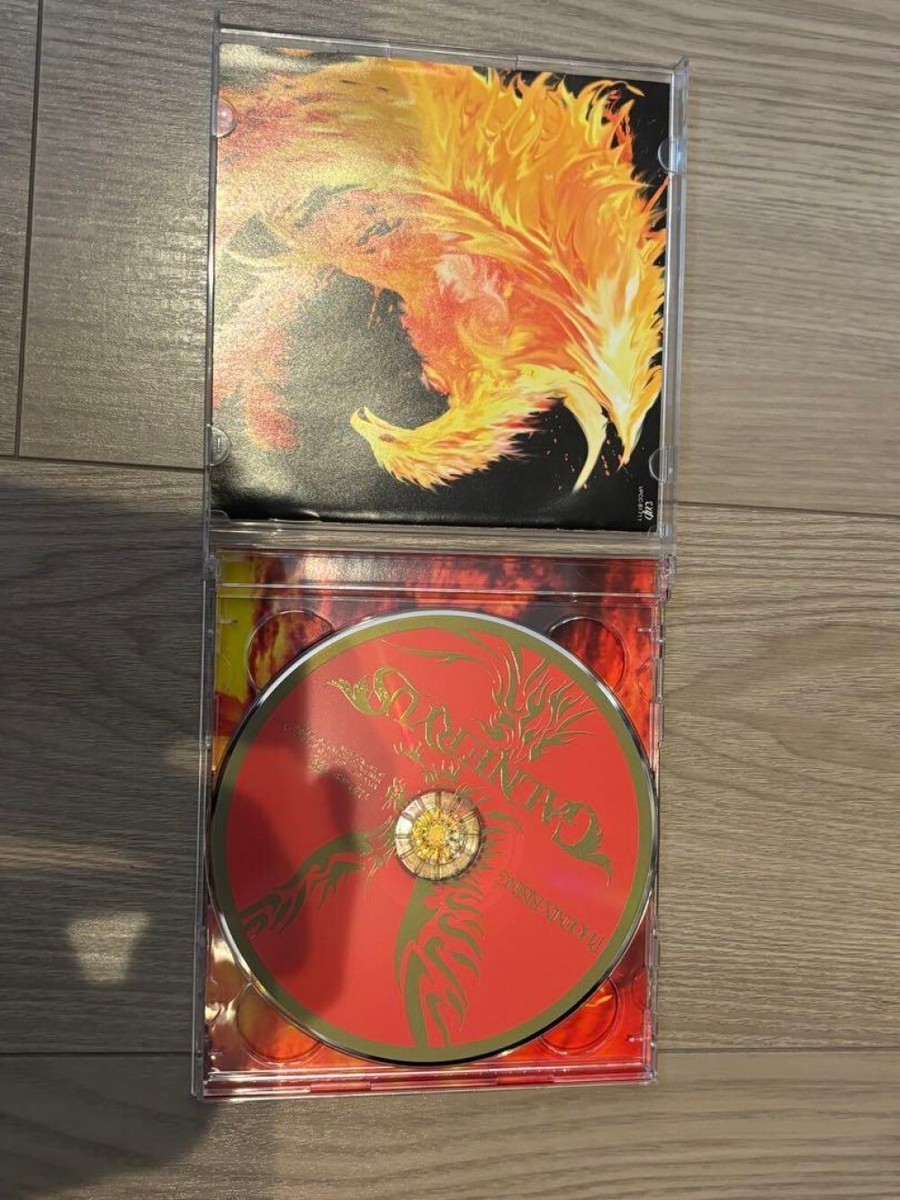 GALNERYUS CDセット 9枚 非売品CD有 USED GALNERYUS /PHOENIX RISING JAPAN LTD 2CD inc Cover CD | eBay